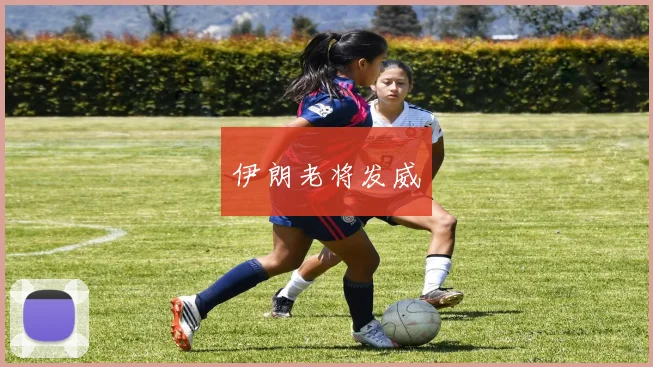 伊朗老将发威