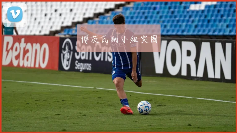 博茨瓦纳小组突围