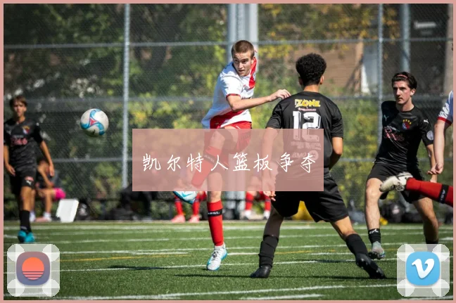 凯尔特人篮板争夺